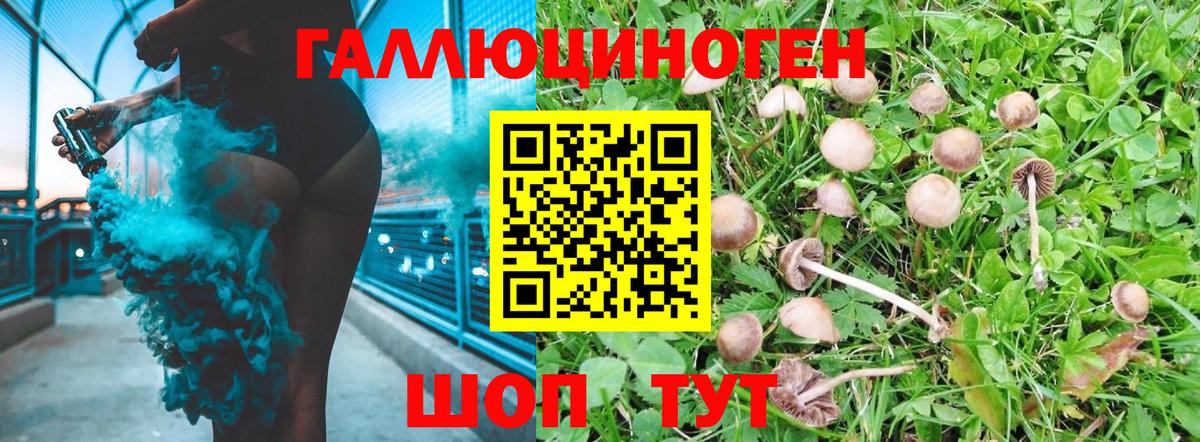 Галлюциногенные грибы прущие грибы  Вход с VPN  Мелеуз 
