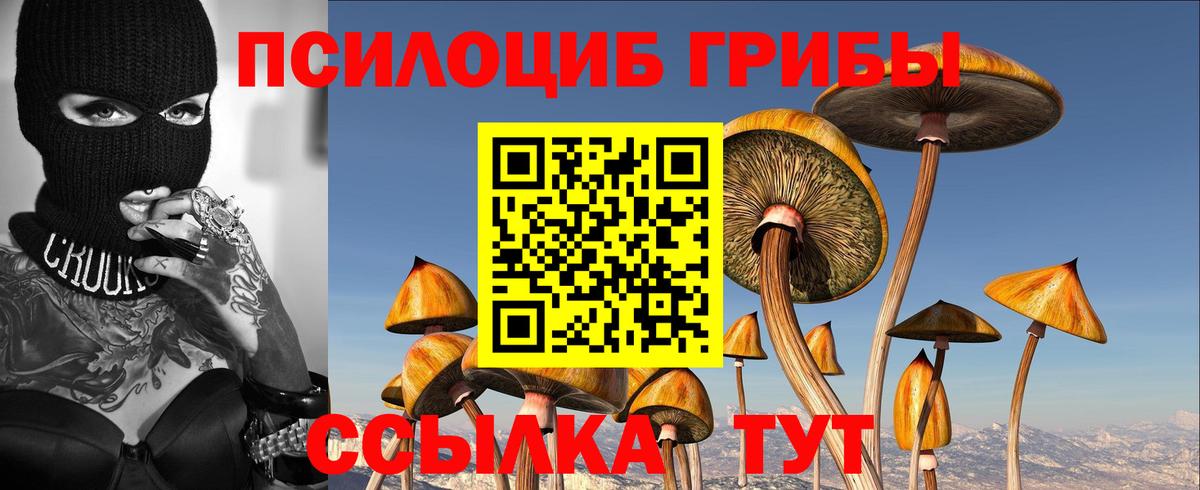 Галлюциногенные грибы мицелий Мелеуз